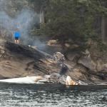 Coast Guard, partner agencies respond to seaplane emergency landing on Sucia Island (July 23, 2026). Source: USCG