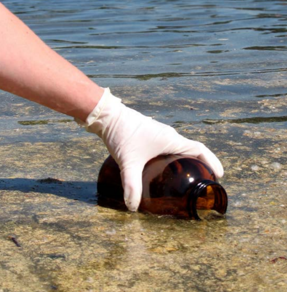 Recent toxic algae testing results released for Lake Whatcom