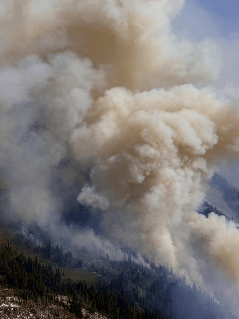 The Luna Fire within North Cascades National Park Service Complex (8/7/26). Source: NPS